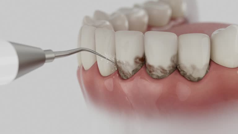 Reliable Dental contractor in Williamsburg, PA by Dentist Open Now
